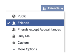 Select only me to hide friend list from other fb users