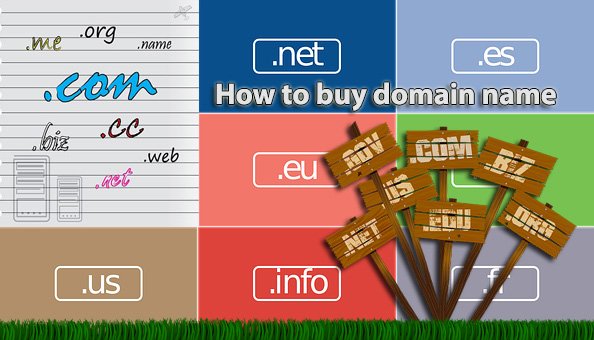 buy domains and hosting